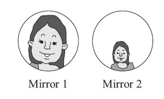 Moana attaches her mirror to the wall beside another, different mirror. When she looks at the mirrors, she sees two different images of herself as shown in the diagram.