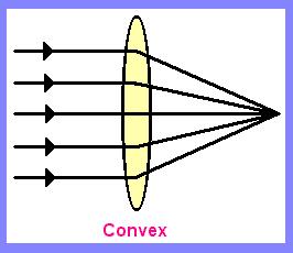 Convex Lenses Convex lenses form images by refracting light rays together.