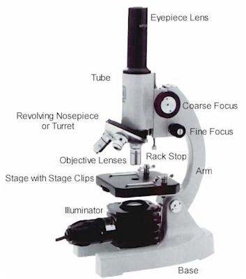 Classic Microscope To change magnification change objective or eyepiece f s