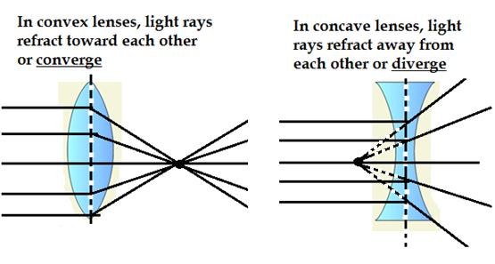 Converging vs Diverging Uses of Concave and Convex Lenses: Concave Eye glasses (fix near-sightedness) Convex Magnifying glasses Eye Glasses (fix far-sightedness) How do lenses fix your vision?