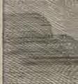 t Garden. [n.d., c.1732.] Mezzotint with thread margins. Very fine & rare. Platemark: 200 x 150mm (8 x 5¾").