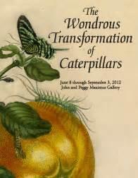 Artist As Scientist In 1676 published her 1 st book on the metamorphosis of caterpillars She discovered through
