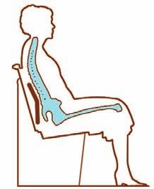 The most important of these are the five segments in the lower portion of the back called the lumbar area. These segments provide nearly all back movement.