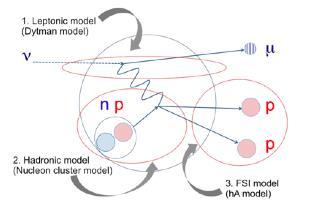 Precise measurement of neutrino-nucleus interactions CCQE interaction events are used as signal to