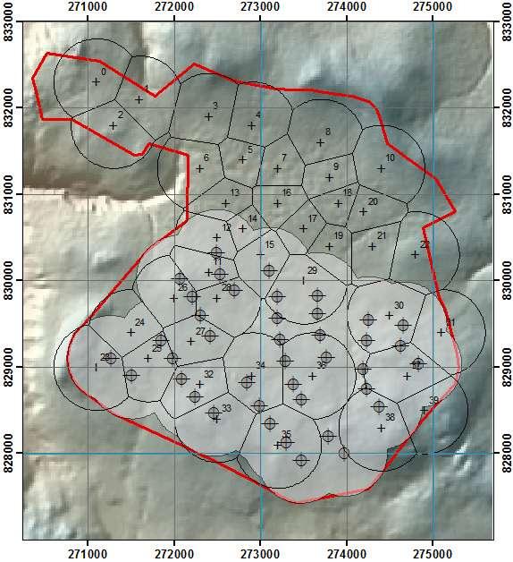 Figure 7. 2009 breeding season: Thiessen polygon and territory centres (+) plus turbines and 500 m buffer and windfarm red line boundary. The grid is 1 