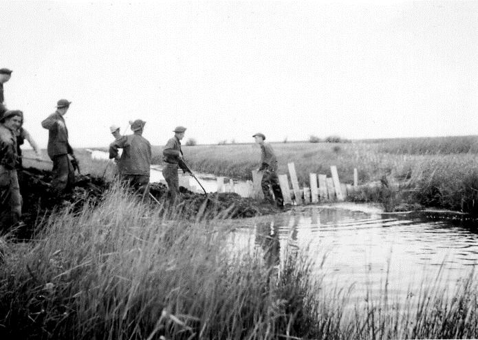 Experiments in wetland restoration 1930s CCC constructing manure dam USDI Fish and