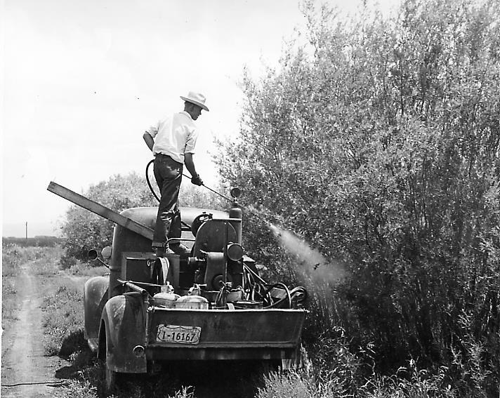 Complexities: Phreatophyte Control: Spraying willows 1949 USDI Fish and