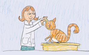 Caring for Animals Draw a picture of a vet caring for an animal. Label your picture.