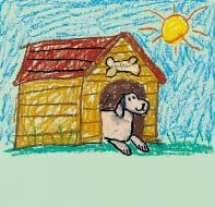 Write About Pet Homes Draw a pet in its home.