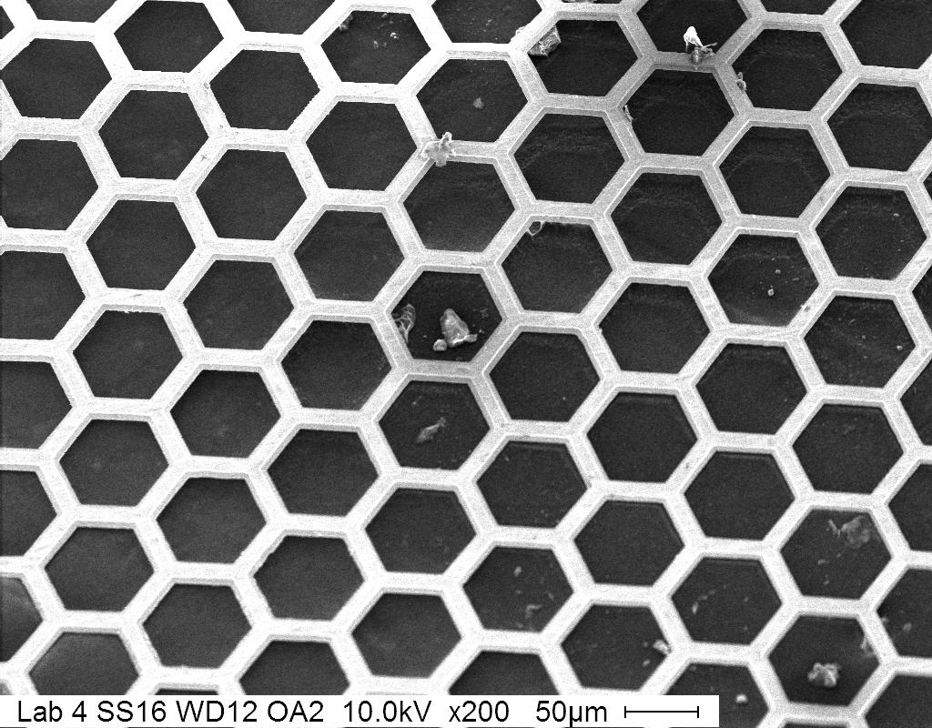 Figure 4a. SEM micrograph of an angled TEM grid to demonstrate depth of field.