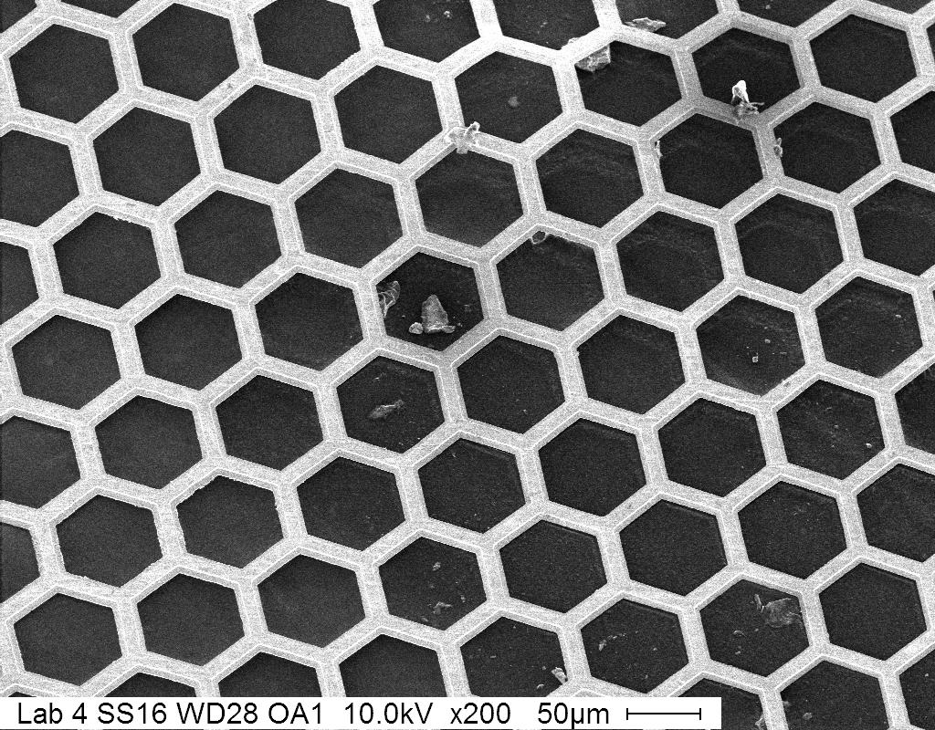 Figure 4b. SEM micrograph of an angled TEM grid to demonstrate depth of field. Objective aperture was set to the smallest size and working distance was set to a longer distance.