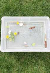 Nature Sink or Float nature water tub Fill a shallow tub /4 full of water. Go on a hunt to find several different items from nature.