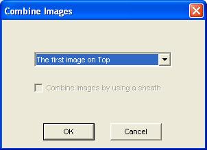Combine Images This option allows you to merge two separate images as one united image.