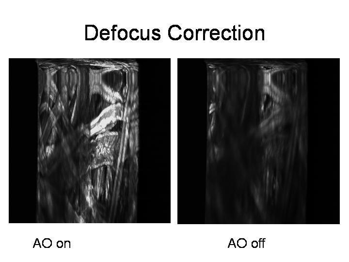 Defocus Correction AOon AOoff Figure 3. Left: fluorescence image of paper fiber with AO on; Right: fluorescence image of paper fiber with AO off.