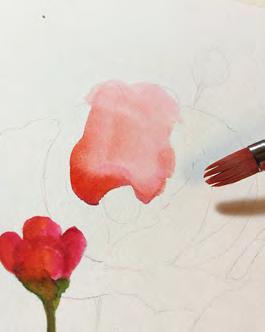 To begin, load your #8 filbert with a mix of arbutus pink and scarlet lake. Paint the color heavily toward the center of the flower.