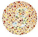 Color Deficiency (AKA color blindness ) Trouble