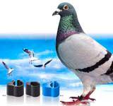 125 khz (135 khz) Late eighties: RFID-Projects gave initial boost Pigeons logging Immobilizer