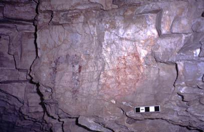 of Figure 1. In conclusion, the three new painted sites found during the summer of 2000 demonstrate the continued potential for more rock art in the drainage.