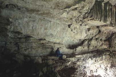 The north wall of the cave supports the main panel, but pictographs are also on the ceiling and walls in the back of the cave. To date 97 figures have been inventoried.