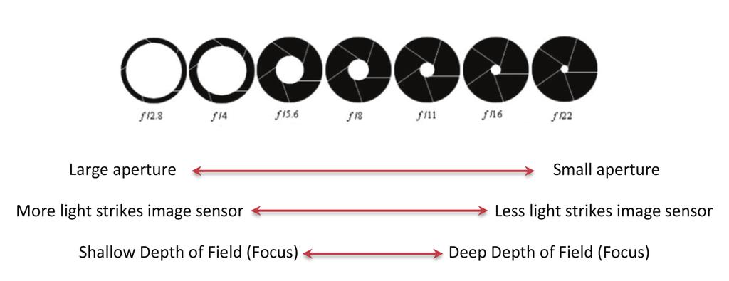 13 Aperture Aperture- Basically put, it is the size of the opening of the lens. Aperture is measured in F-Stops.