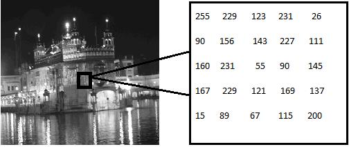 Figure 1.2: greyscale image Indexed: Mostly all the colors images have a subset of more than sixteen million possible colors.