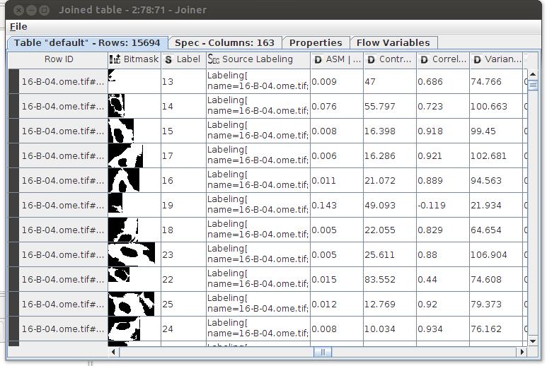 Figure 6: A segment table as produced by the Image Segment Feature-node, with the segment