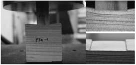 Evaluation of the Partial Compressive Strength according to the Wood Grain Direction Table 1.