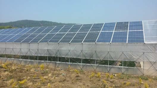 SERE SI-ESF-S-GREEN Sere fotovoltaice sunt incintele în care sunt ținute temperatură constantă, umiditatea și alți factori de mediu pentru promovarea