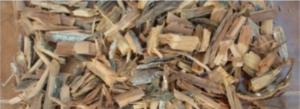 As the mahua plant also has many medicinal properties, the dye obtained from the mahua bark could also have some antimicrobial effect,