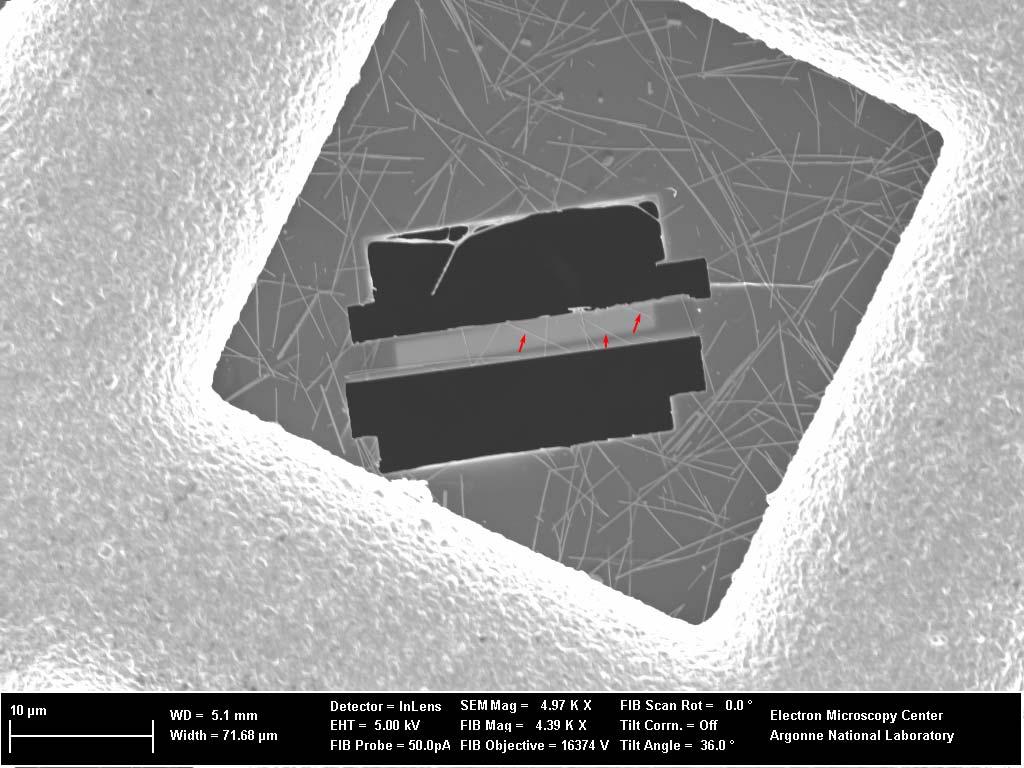 Supplementary Figure S7 Scanning electron microscopy image of the back side (i.e., the copper mesh side) of a transmission electron microscopy grid with Ag nanowires after the cross-sectional samples were prepared with the assistance of focused ion beam.