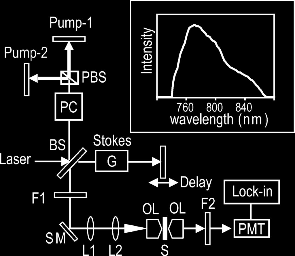 16874 J. Phys. Chem. B, Vol. 114, No. 50, 2010 Chen et al. Figure 3. Experimental setup for FM-CARS microscopy.