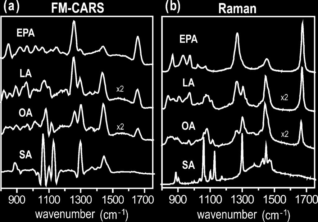 Chemical Imaging with FM-CARS Microscopy J. Phys. Chem. B, Vol. 114, No. 50, 2010 16875 Figure 5. FM-CARS spectroscopy.