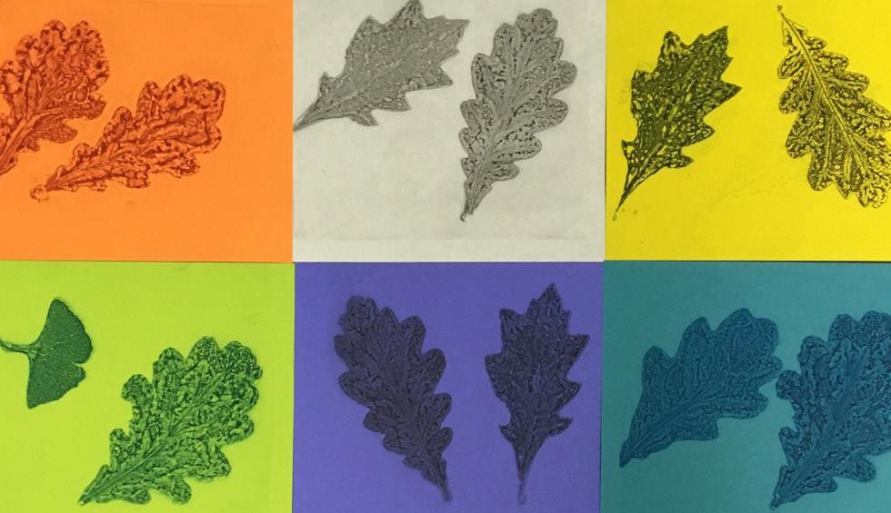 GRADES: 3 4 NATURE GEL PRINTING A Tree is Growing: Identifying Leaf Patterns and Repetition in Nature as Artist and Nature Printer MATERIALS Speedball 5" x 7" Gel Plates Speedball Soft Rubber Brayers