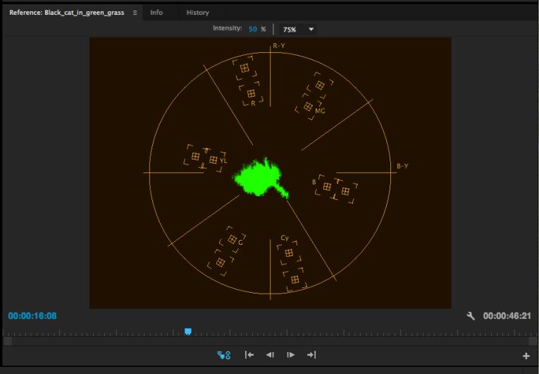 5. Saturation and Color Balance Saturation and Color Balance is represented by the Vectorscope, which can be displayed by going to Reference Settings > Vectorscope.