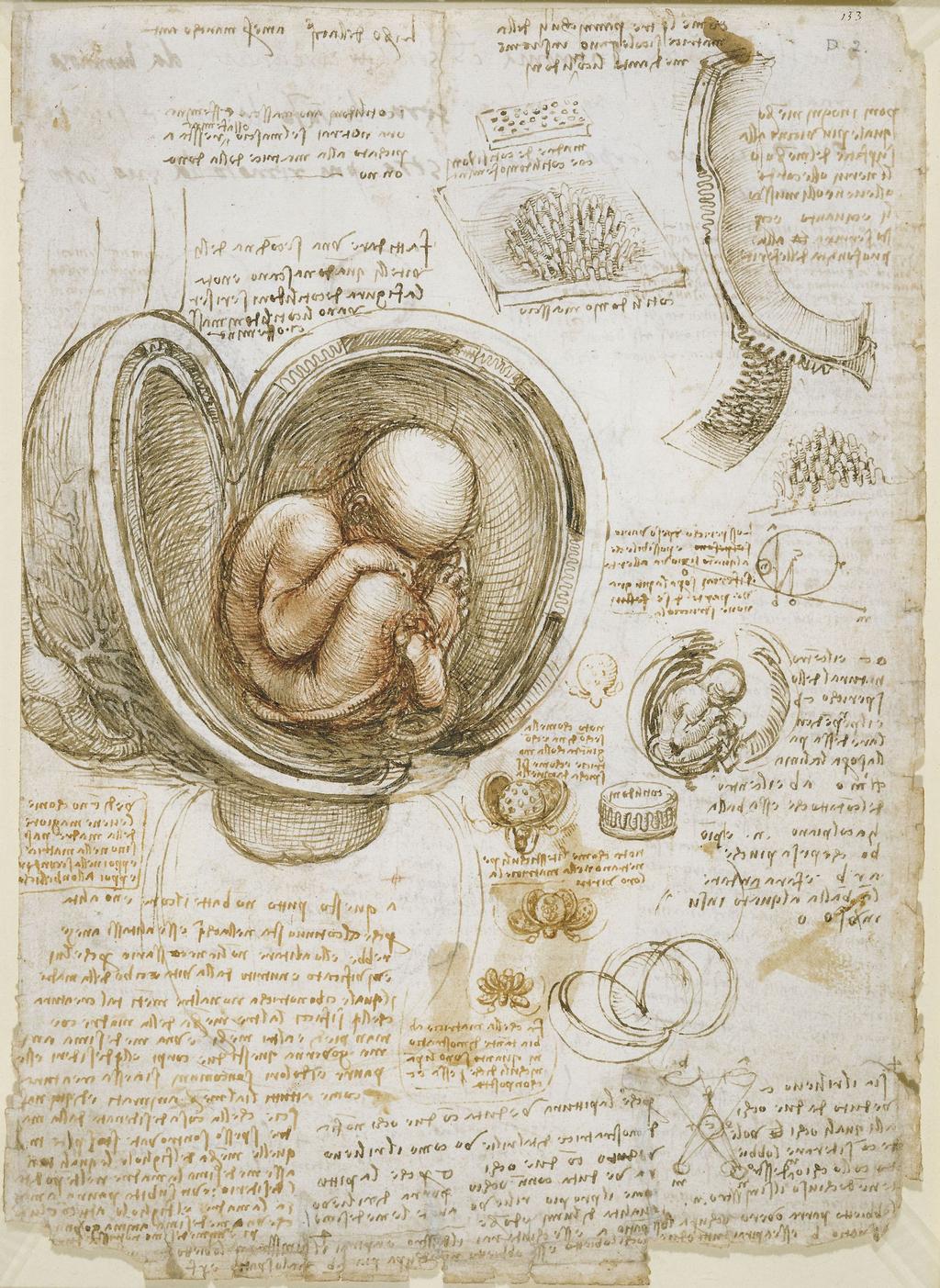 Science Pages Leonardo Da Vinci Lived from 1442-1519 in Tuscan town Vinci He was a Renaissance Man Painter Observations Sculptor Architect Inventor Military engineer
