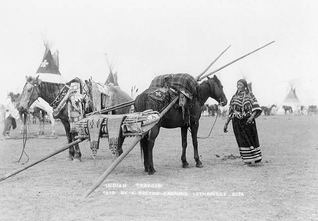 They would take horses from settlers or other tribes. They also took food, guns, and cattle.