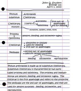 CORNELL NOTES SUMMARY 1 st Read through your notes and underline/highlight main