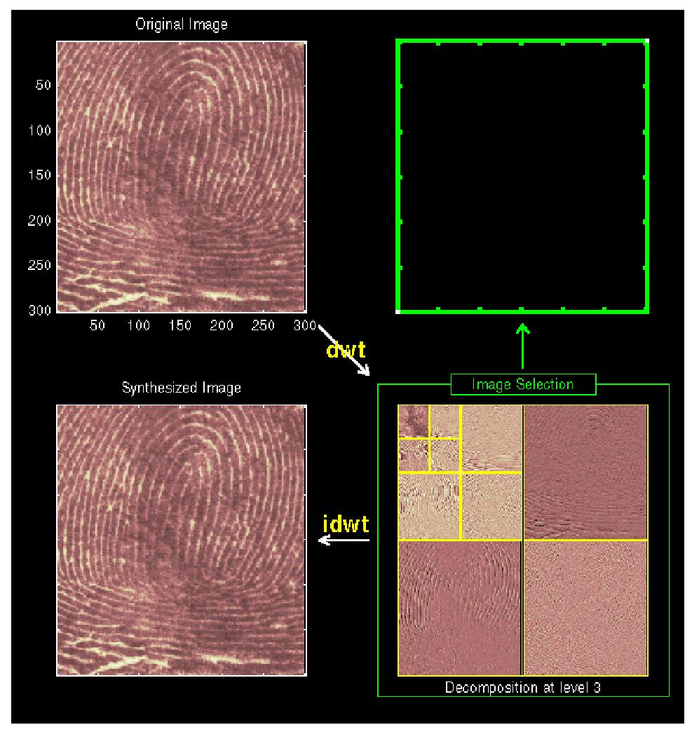 Fingerprint compression