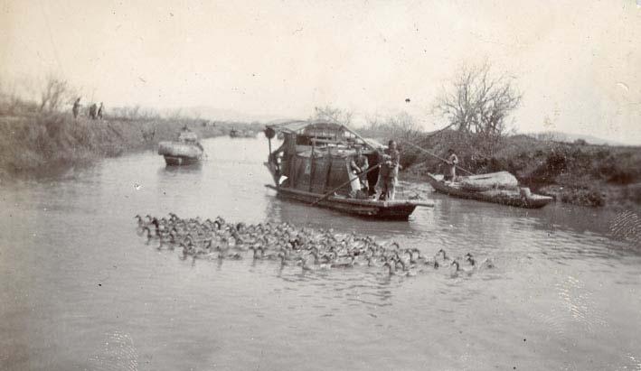 18,00 28 CHINA. Canal with ducks and boats. 1900.