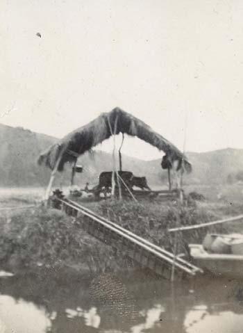 24,00 186 TAIHU LAKE. On the shores of Lake Taihu. 1900.