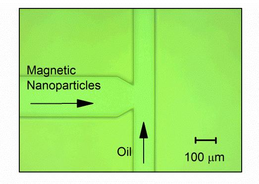 Droplet generator: A T-junction geometry shown in Fig. S4 was fabricated to produce magnetic emulsion droplets on chip. Magnetic nanoparticles diluted with DI water served as a disperse phase.