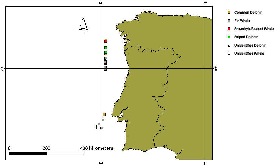 The high encounter rate for fin whales along the Portuguese and Spanish continental shelf edge is significant and may indicate and important feeding or migratory area for this