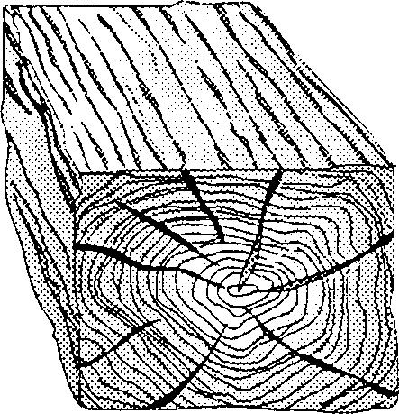 Adapted from Simpson, William T. 1991. Dry Kiln Operator's Manual. USDA Forest Service. Ag. Handbook No. 188. Figure 2.5b Defects caused by rupture between or withing wood tissue.