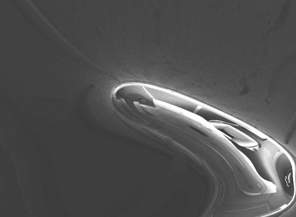 Figure 3. Favorite Image: : SEI of a monkey hair. Image was taken at a working distance of 15mm and an aperture of 2.
