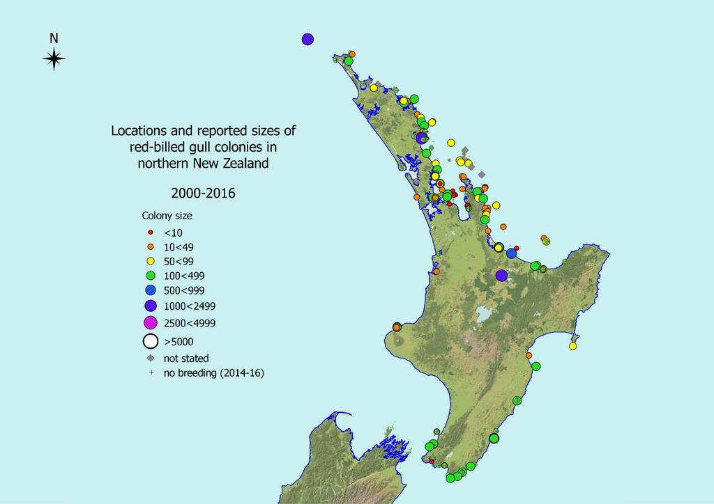 Location and relative sizes of red-billed gull colonies, northern New Zealand, 2000 2016 The apparent increase