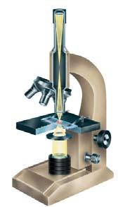 Objective lenses Eyepiece Ocular lens Body tube Slide with specimen Light source Figure 34 A compound microscope uses several lens to produce a highly magnified image.