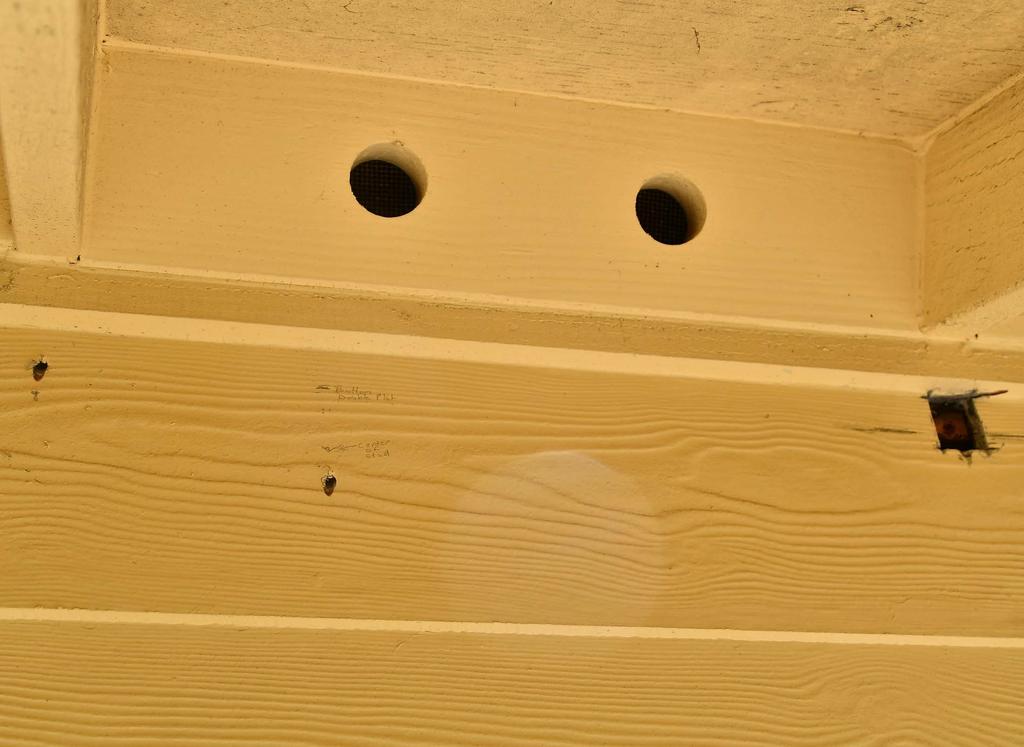 Double top plate to truss structural screw. Exposed siding showing bottom of double top plate.