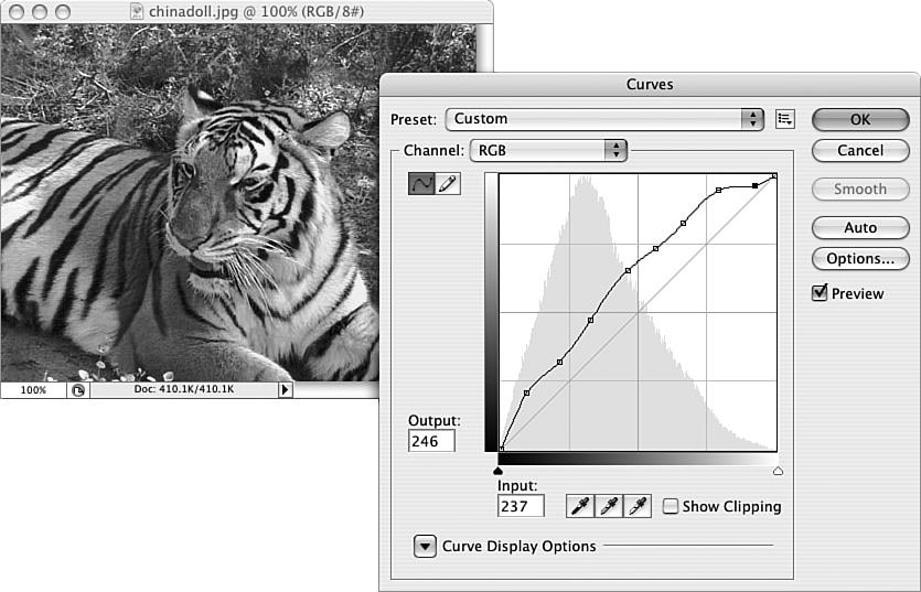 98 HOUR 5: Adjusting Color FIGURE 5.8 You can add up to 16 points on the curve. Did you Know?