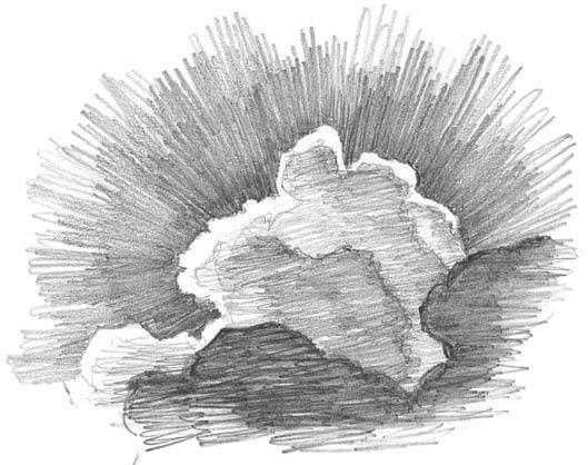 When drawing clouds, start by sketching the outline, but use subtle value changes to show the shape and depth of their forms.