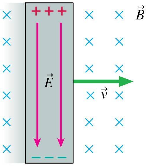 Motional emf Forces on the charge carriers in a moving conductor cause a charge separation that creates an electric field in the